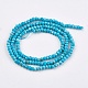 Chapelets de perles teintées en turquoise naturelle TURQ-F010-05-1
