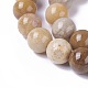 Fossiles naturelle perles de corail brins G-F648-01-C-3