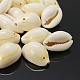 Cowrie Shell Pendants PTS057Y-1