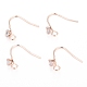 Brass Earring Hooks KK-I681-14RG-1