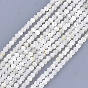 Натуральные белые бусины из ракушек SHEL-T012-49B