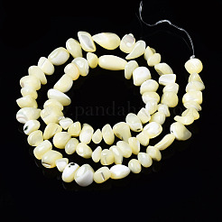 Natürliche Trochidschale / Trochusschalenperlenstränge&nbsp;SSHEL-N034-78-C01