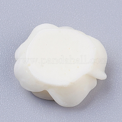 Cabochons en résine&nbsp;RB776Y-3