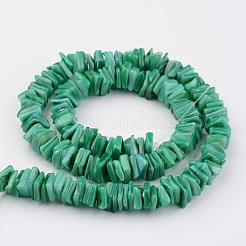 Conchiglia naturale fili di perle&nbsp;BSHE-P021-08