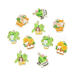 25 pendentifs en alliage plaqué or kc&nbsp;ENAM-CJ0007-08