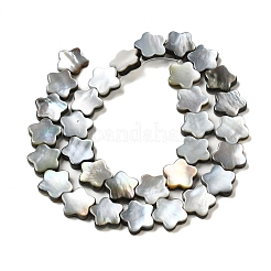 Natur schwarz Lippe Shell Perlen Stränge&nbsp;SHEL-M021-02A