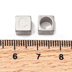 304 Edelstahl-Europäische Perlen&nbsp;STAS-D382-02C-P