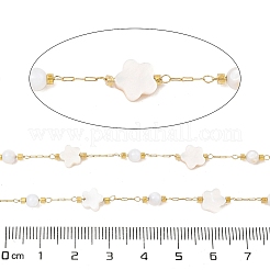 Cadenas de clip de acero inoxidable 304 con recubrimiento iónico (IP)&nbsp;CHS-P018-07G