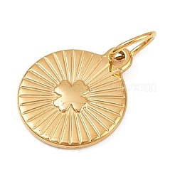 Pendentifs en acier inoxydable 304&nbsp;STAS-K307-06D-G