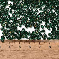 Spray bemalte Glasperlen&nbsp;SEED-F005-10A-02