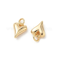 Colgantes de latón Shegrace&nbsp;XGRQ3D758-468G