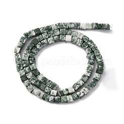 Natürliche grüne Fleck Jaspis Perlen Stränge&nbsp;G-G002-A09