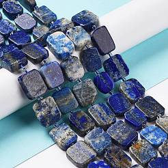 Chapelets de perles en lapis-lazuli naturel&nbsp;G-Z043-A07-01