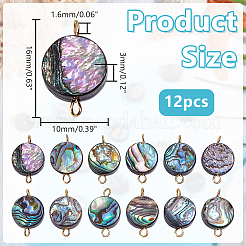12 Stück natürliche Abalone Muschel/Paua Muschel flach rund Verbinder Charms&nbsp;PALLOY-WH00010
