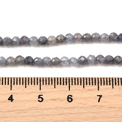Natürliche Tansanitblau Perlen Stränge&nbsp;G-S387-A01-3mm