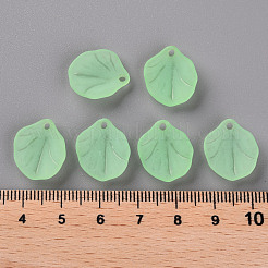 Pendentifs acryliques mats transparents&nbsp;MACR-S371-02A-733