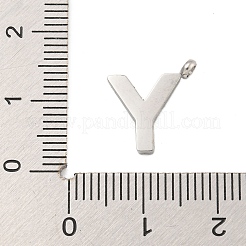 Breloques en acier inoxydable 304&nbsp;STAS-G345-01P-Y