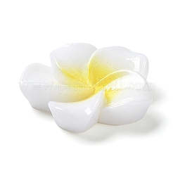 Cabochons di opaco resina&nbsp;X-RESI-G068-02F