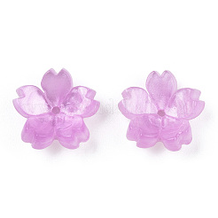 Capsules de perles d'acétate de cellulose (résine)&nbsp;X-KK-S161-03E