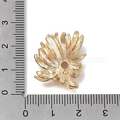 Coppette copriperla in ottone&nbsp;KK-H293-05G