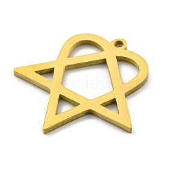 Pendentifs en acier inoxydable 304&nbsp;STAS-R228-03G