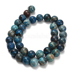 Natur Chrysokoll Perlen Stränge&nbsp;G-C289-B02-10mm