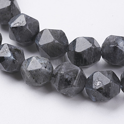 Natürliche schwarze Larvikit-Perlenstränge&nbsp;G-J376-47A-10mm