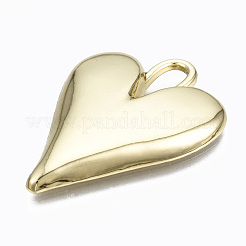 Aluminium Anhänger & Charms&nbsp;PALLOY-T067-198LG-RS