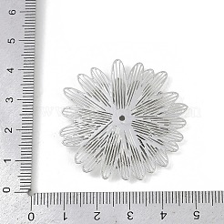 Eisen Anhänger & Charms&nbsp;IFIN-A002-01P