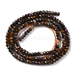 Natürlichen Tigerauge Perlen Stränge&nbsp;G-H003-B04-02A