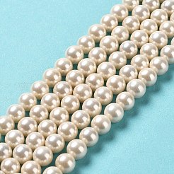 Shell-Perle Perle Stränge&nbsp;BSHE-L025-08-6mm-01