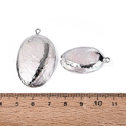 Galvanisierte Anhänger aus natürlicher Paua-Muschel&nbsp;SSHEL-Q100-15P