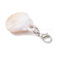 5 ciondolo decorativo a forma di conchiglia acrilica a forma di stella marina in 5 stili&nbsp;HJEW-JM03875