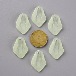 Pendentifs acryliques mats transparents&nbsp;MACR-S371-03A-728