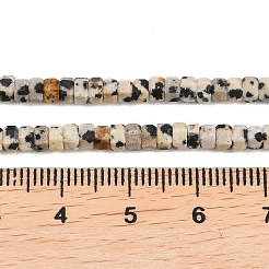 Natur Dalmatiner Jaspis Perlen Stränge&nbsp;G-G345-C14-2x4mm