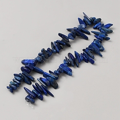 Natürlicher Lapislazuli Perlenstränge&nbsp;G-TAC0005-02D