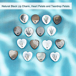 16 stücke 2 arten natürliche schwarze lippe shell charme&nbsp;SHEL-BC0001-021