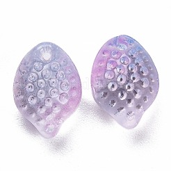 Transparente Glas Anhänger / charms&nbsp;GLAA-H102-D02