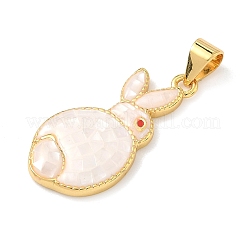 Pendentifs d'émail en laiton &nbsp;KK-H534-06G-01