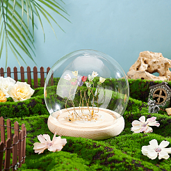 Couvercle rond en verre&nbsp;AJEW-WH0314-447B-01