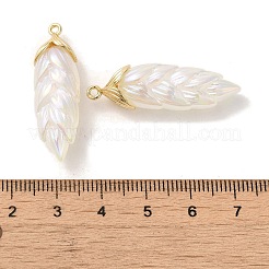 Pendenti in resina placcatura iridescente arcobaleno&nbsp;LS-RESI-C047-03B-G