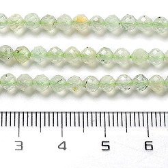 Natur Prehnit Perlen Stränge&nbsp;LS-G-G161-A13-03
