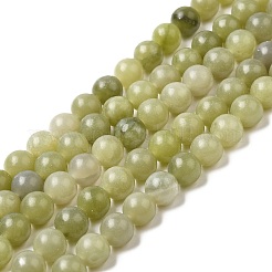 Natürlichen grünen Jade Perlen Stränge&nbsp;G-K340-A02-01