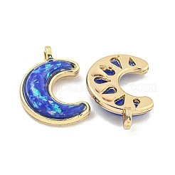 Pendenti in resina traslucida&nbsp;KK-M291-23G-06