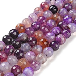 Filo di perline di agata naturale&nbsp;G-M437-C01-01O