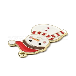 Pendentifs d'émail en alliage&nbsp;ENAM-Z001-09G