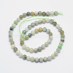 Natürliche jadeite runde Perle Stränge&nbsp;G-I163-6mm