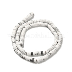 Natürliche Howlith Perlen Stränge&nbsp;G-P575-B39-4x2mm