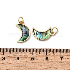 Mondanhänger aus Epoxidharz und natürlicher Paua-Muschel&nbsp;KK-K384-10G