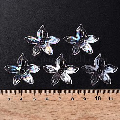 Abalorios de acrílico transparentes&nbsp;LS-MACR-S373-102-C02